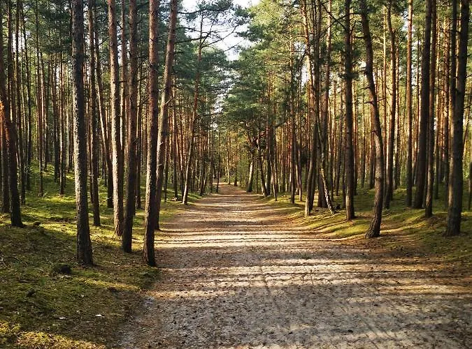 M&K Apartament Przytulny Z Tarasem - Wyspa Sobieszewska
